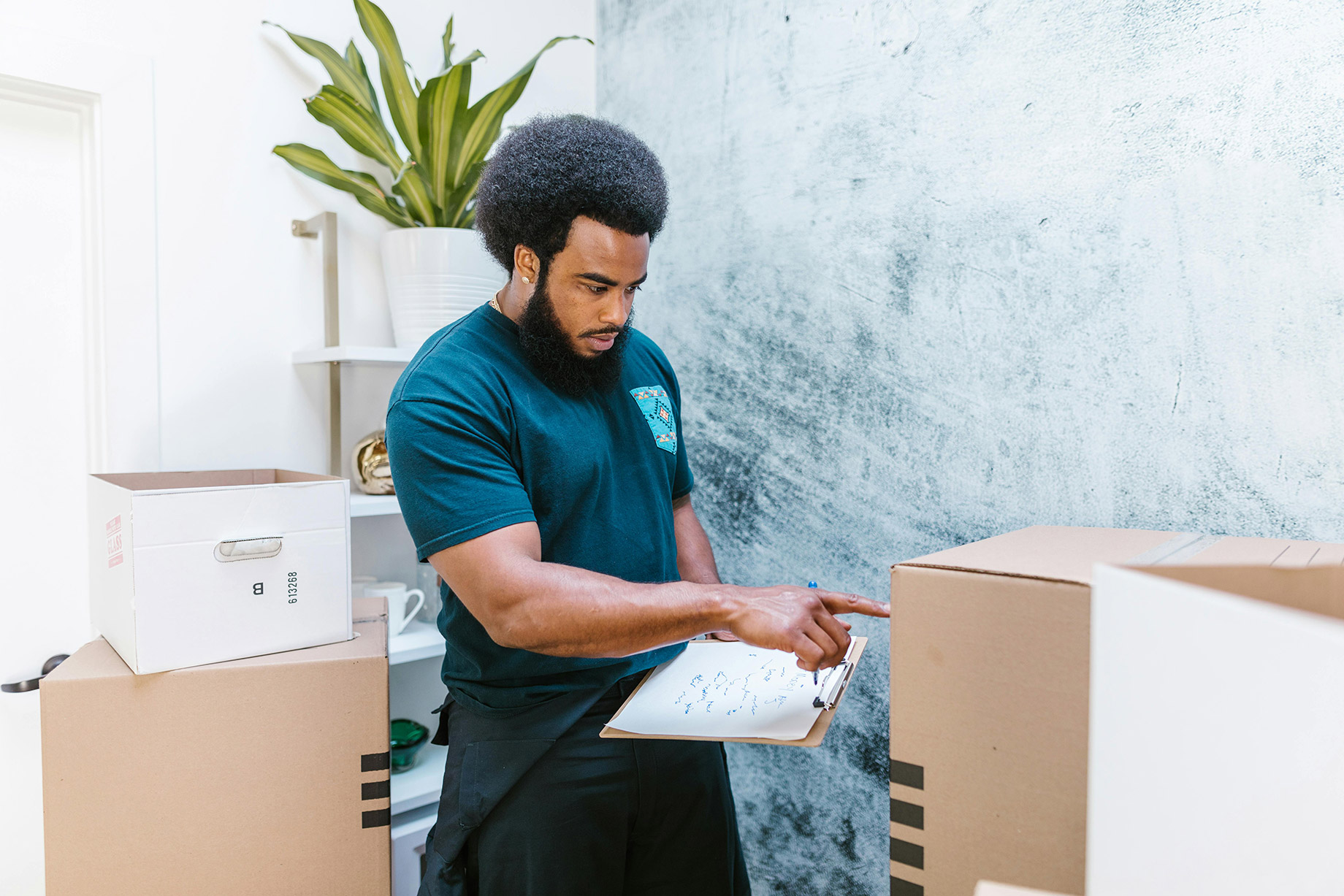 Professional Mover
