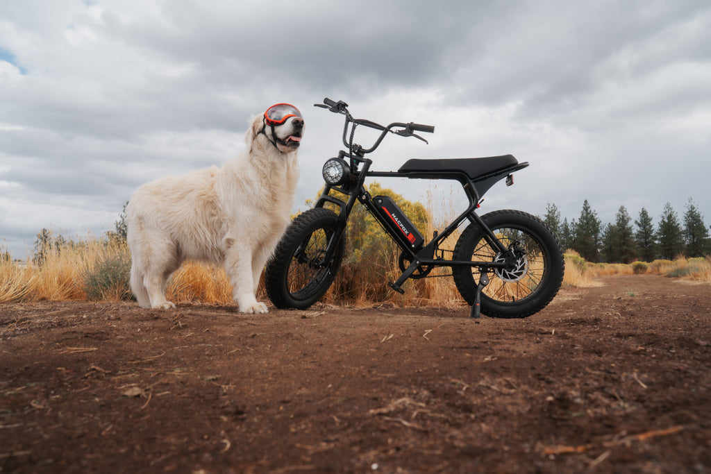 Macfox X1S Electric Bike