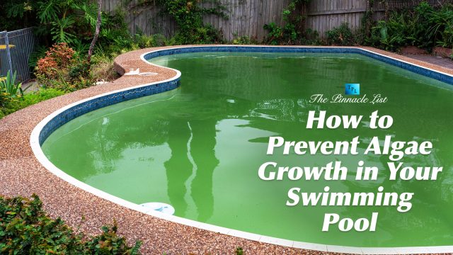 How to Prevent Algae Growth in Your Swimming Pool