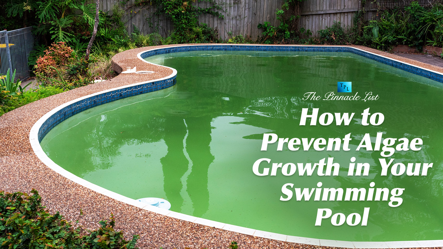How to Prevent Algae Growth in Your Swimming Pool
