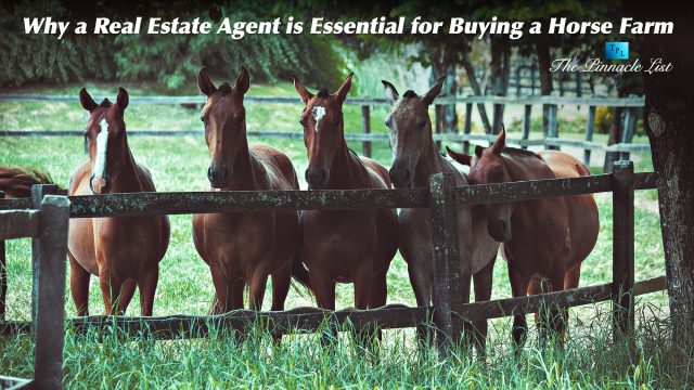 Why a Real Estate Agent is Essential for Buying a Horse Farm