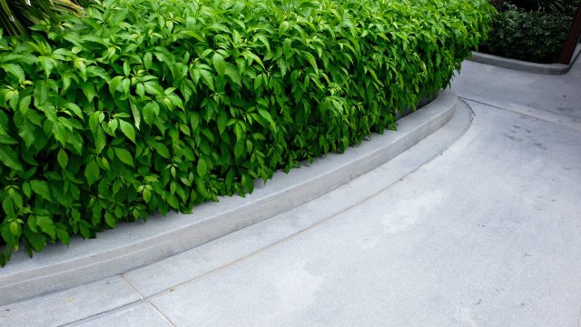 Landscaping with Paved Walkway