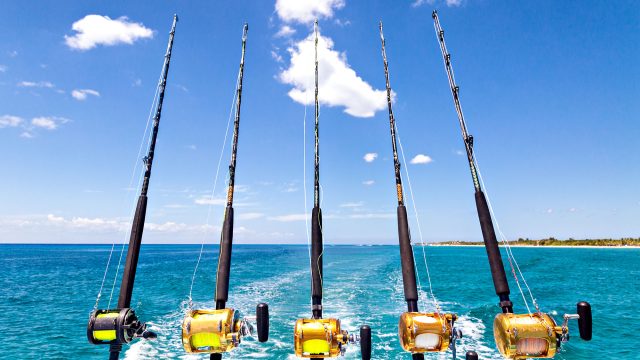 Tropical Caribbean Sea Fishing
