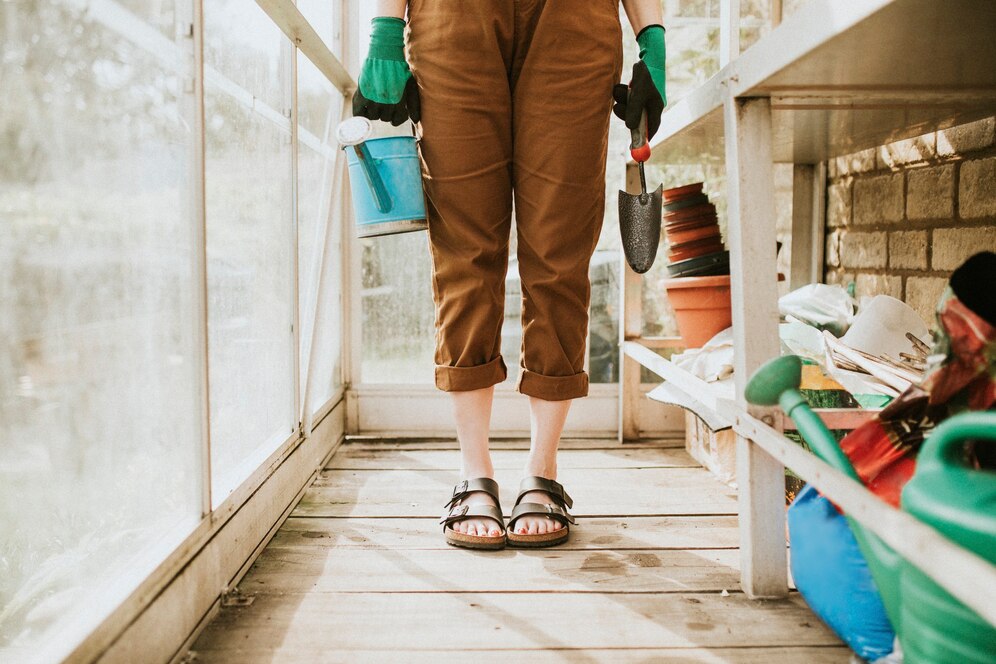 The Case for Expert Help: Creating a Backyard Deck That Truly Stands Out