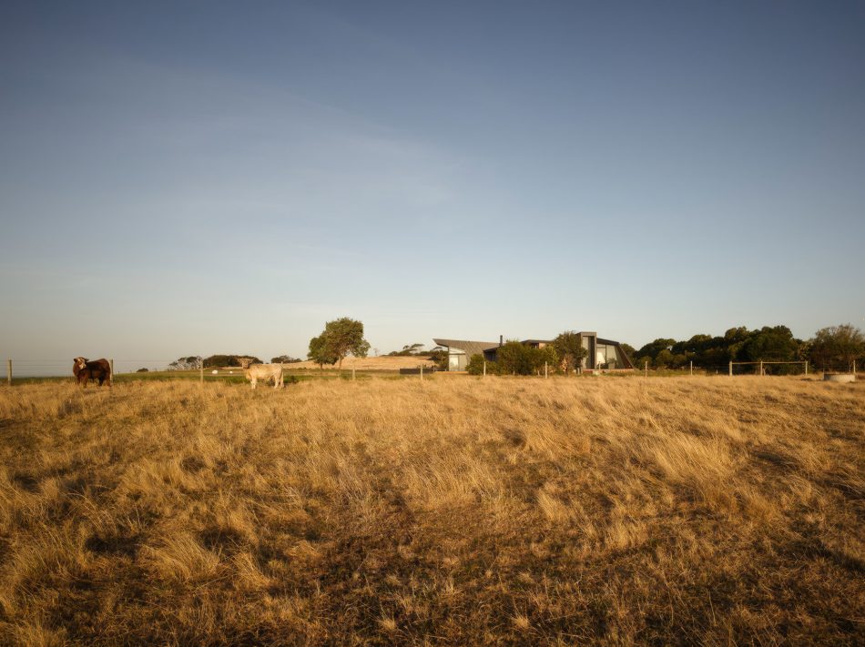 Beached House - Mornington Peninsula, Flinders, Victoria, Australia - 16
