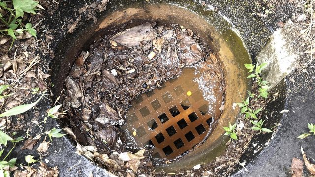 Blocked Drain Filling Up with Water