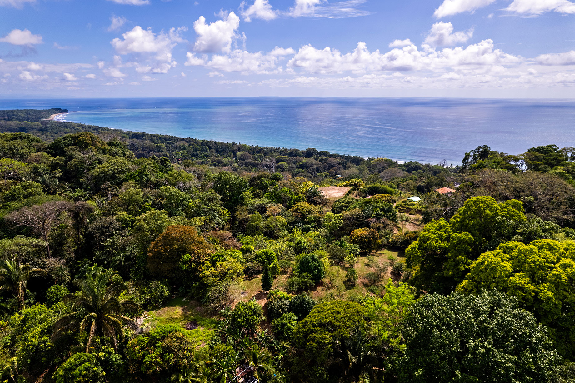Aerial view of lush tropical forest and fruit orchard on a coastal ridge in Playa Hermosa, Uvita, overlooking the Pacific Ocean and the iconic Whale’s Tail formation in the distance.