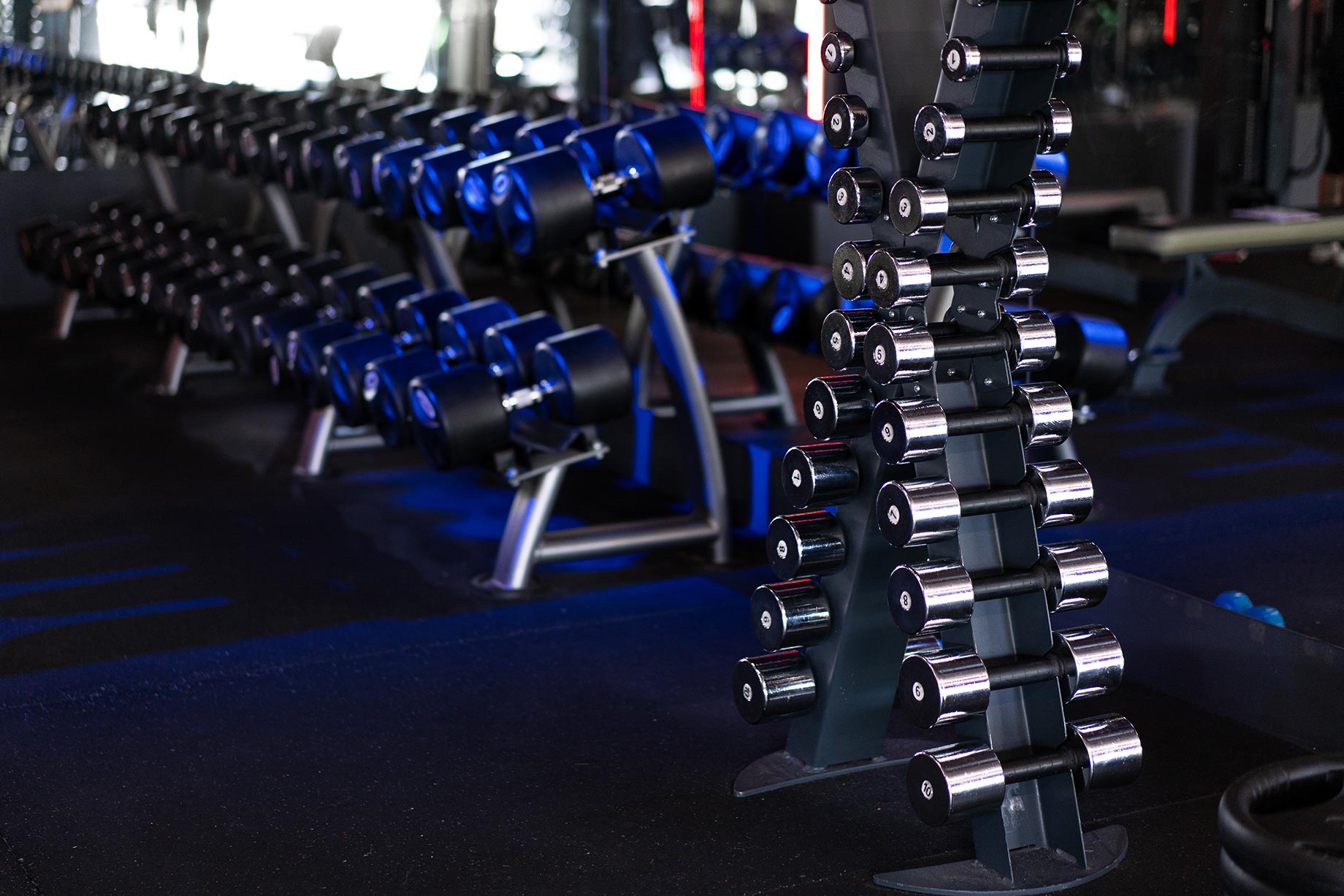 Gym Dumbbells