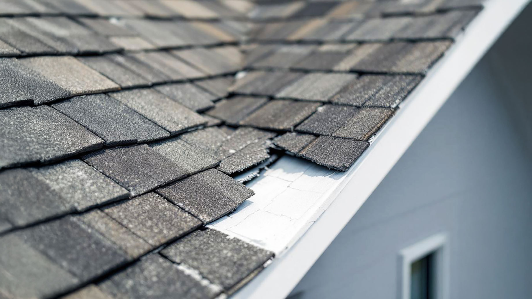 Damaged Roof Shingle