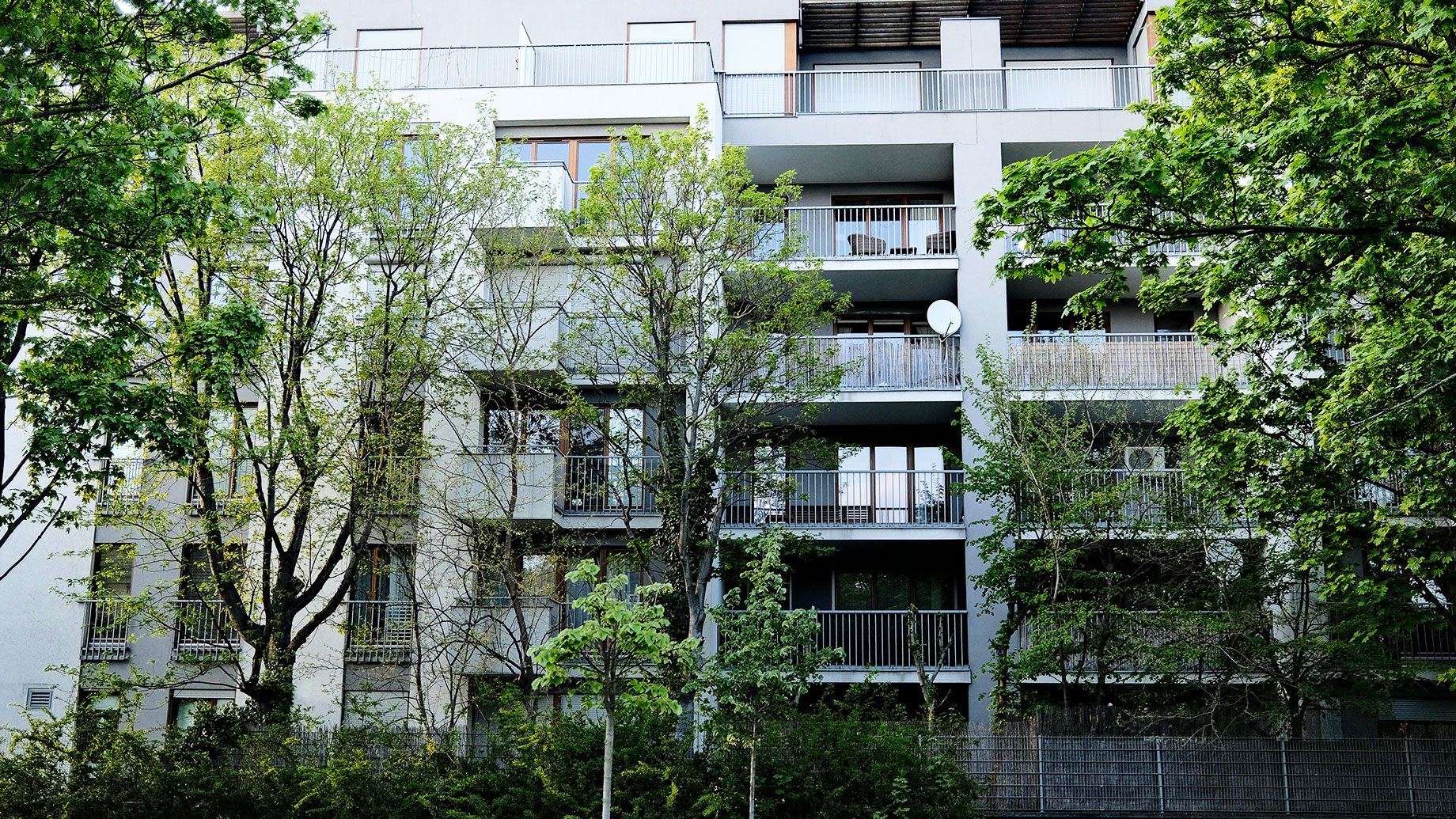Modern Apartment Building behind Trees and Bushes