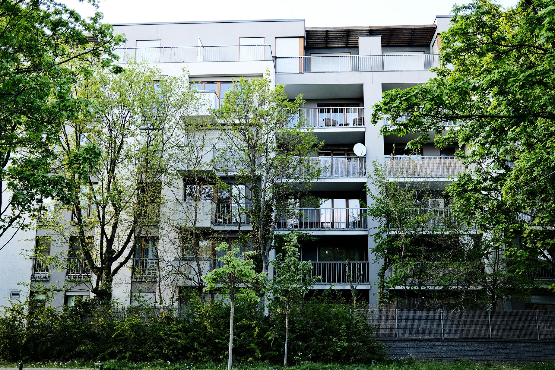 Modern Apartment Building behind Trees and Bushes