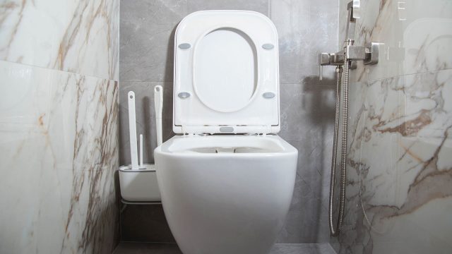 Modern Toilet