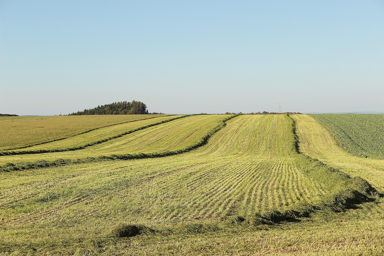 Top Emerging States for Land Investment in 2025