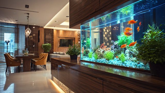 Aquarium Interior Decor