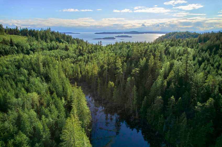 Basecamp Desolation Sound - Sarah Point Rd, Sunshine Coast, BC, Canada - 13