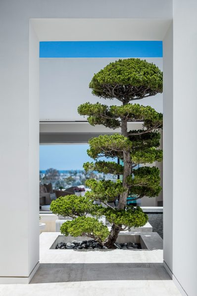 Dolphin Terrace Residence - 1325 Dolphin Ter, Corona Del Mar, CA, USA - 3