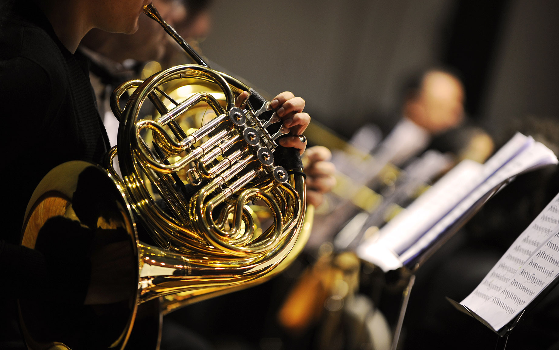 French Horn during a Classical Music Concert