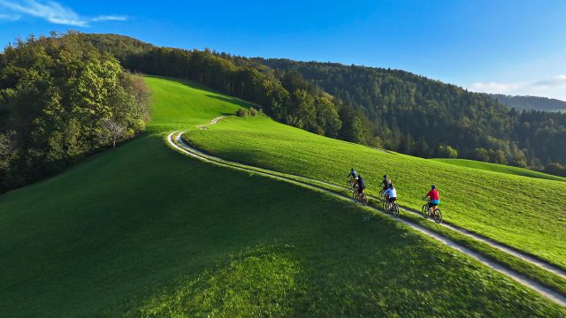 Incline Cycling in Mountainous Grasslands in Europe