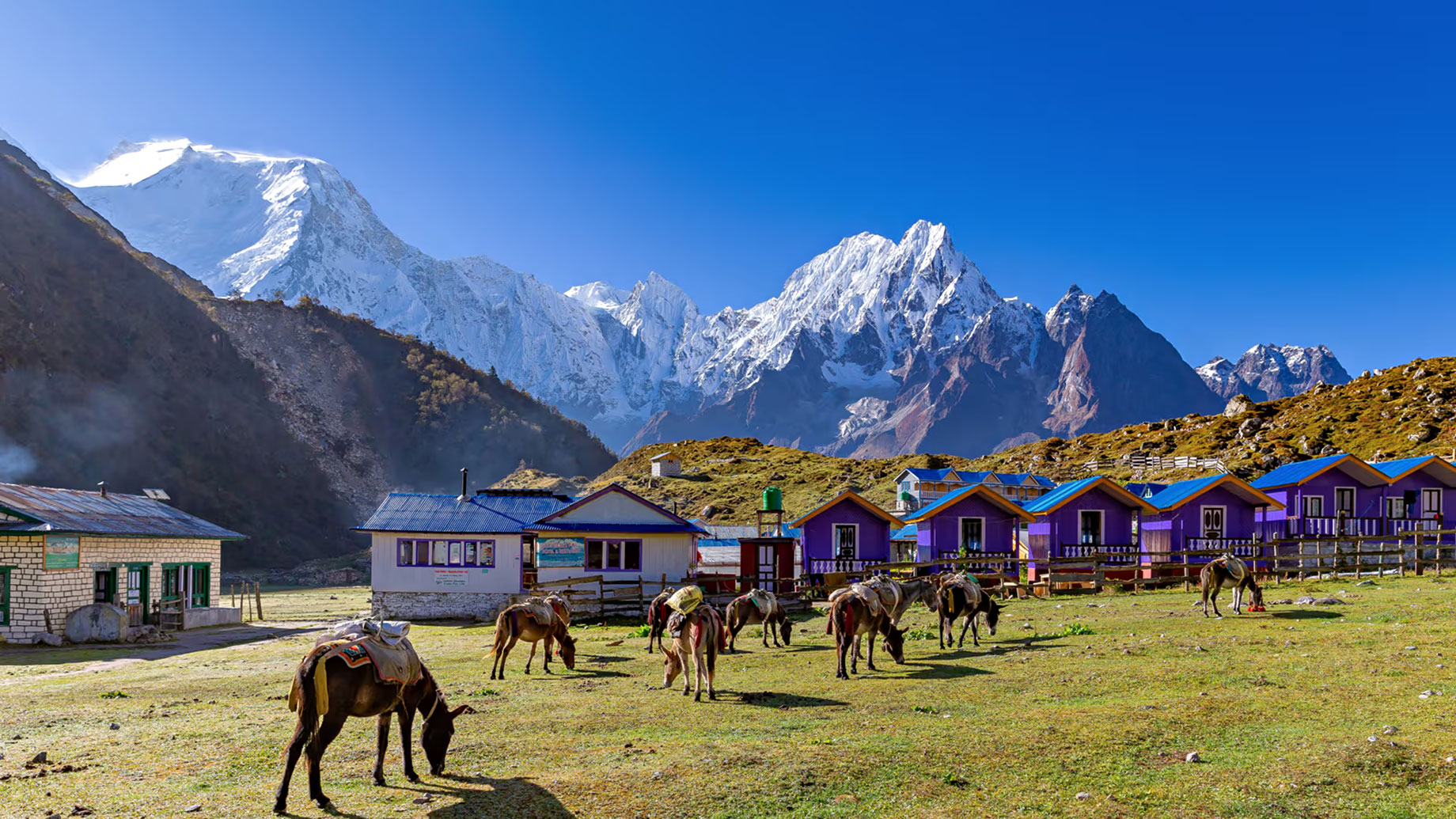 Manaslu Circuit Trek