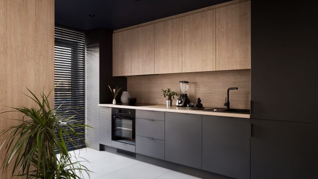 Modern Dark Theme Minimalist Kitchen