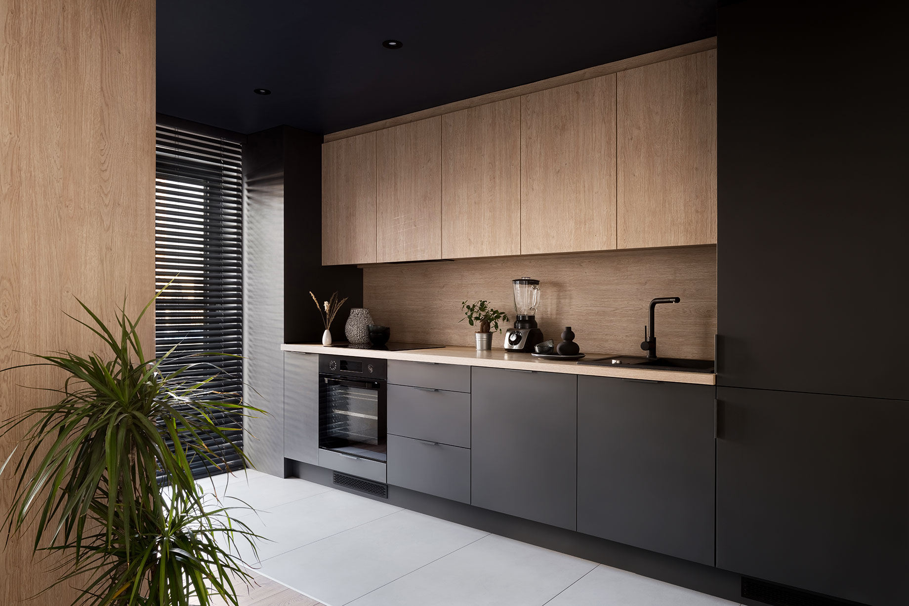 Modern Dark Theme Minimalist Kitchen