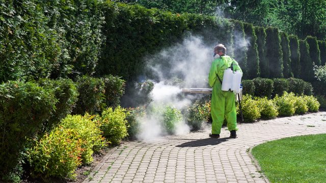 Outdoor Pest Control