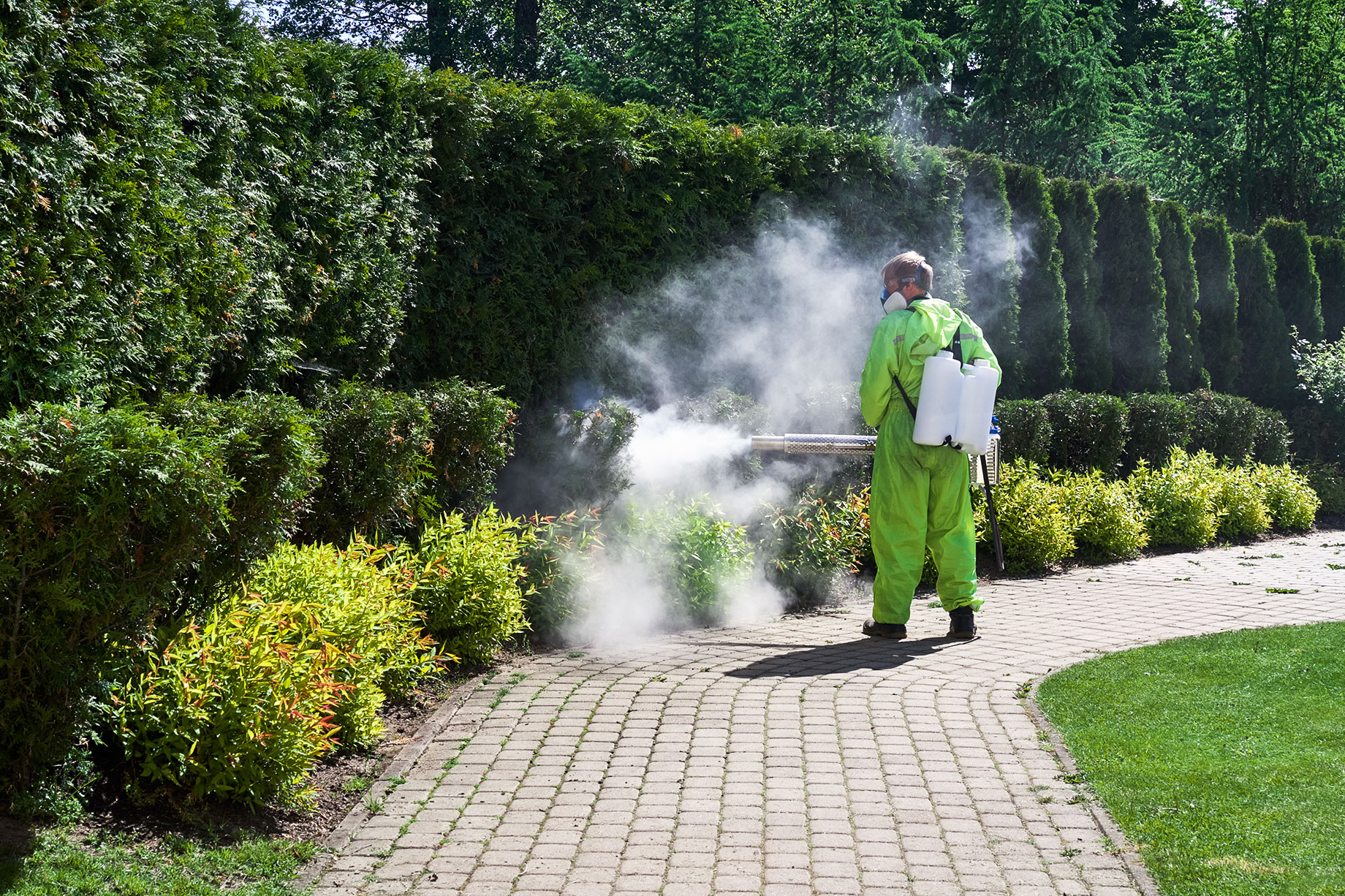 Outdoor Pest Control