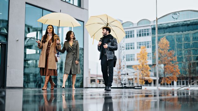 Three Business Professionals with Umbrellas, Walking in the Rain