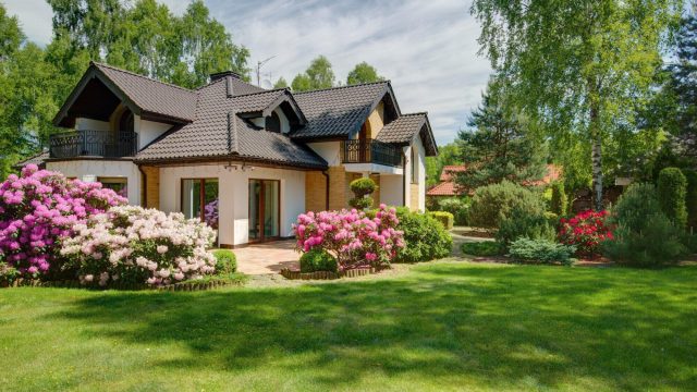 The Art of Balancing Aesthetics and Nature in Landscape Design