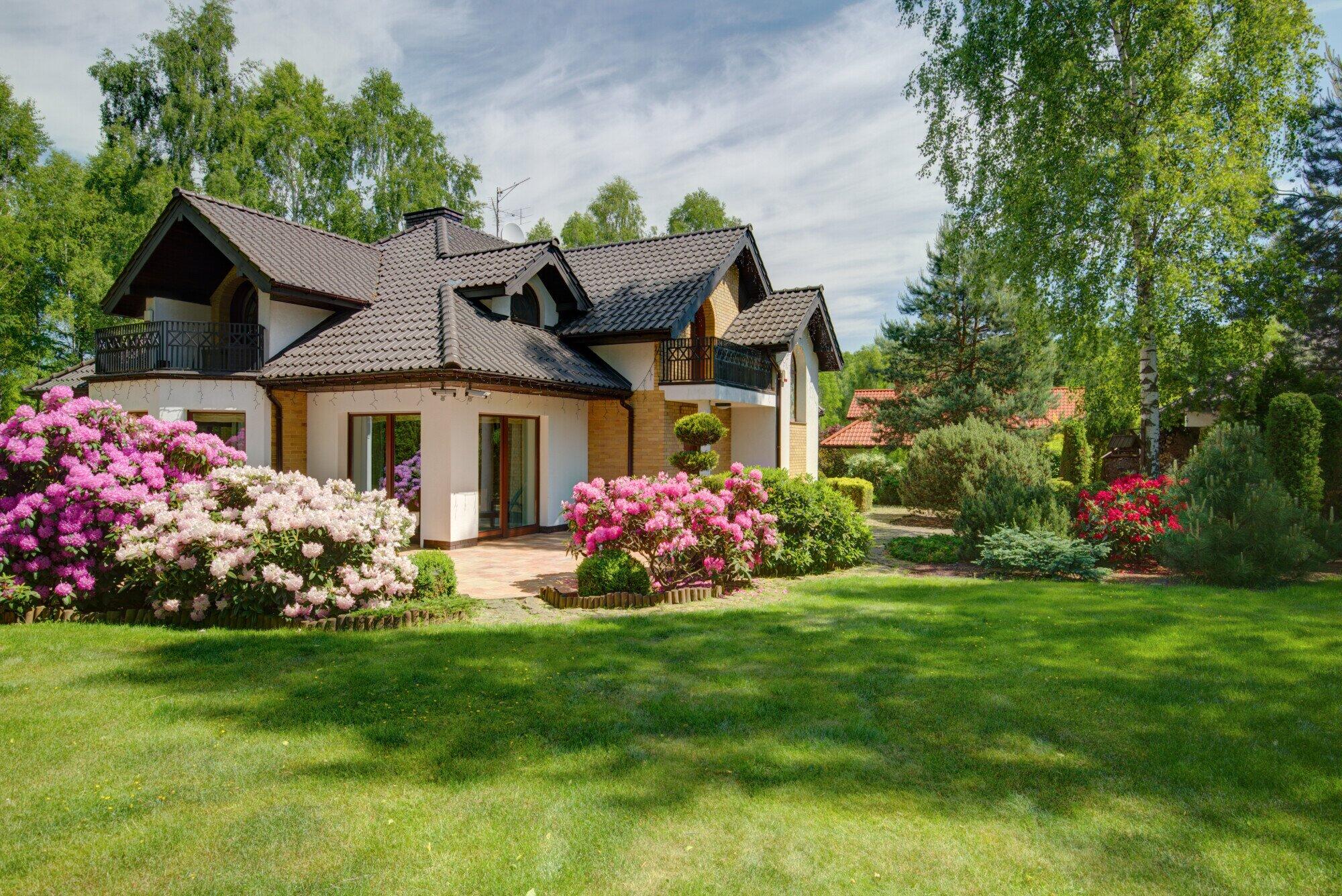 The Art of Balancing Aesthetics and Nature in Landscape Design