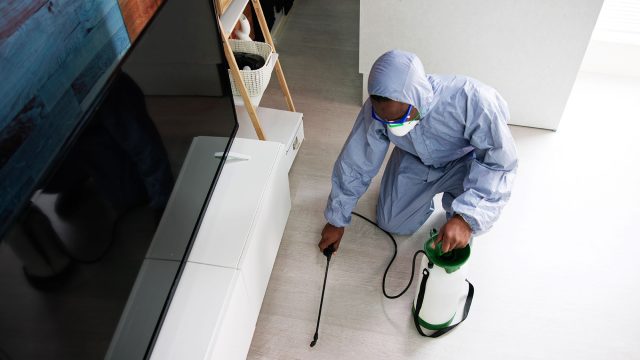 Exterminator Eliminating Pests in Living Room