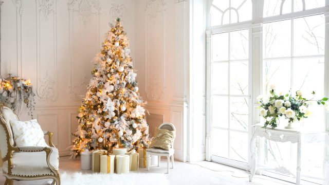 Interior Living Room in a Royal Style Decoration with a Christmas Tree