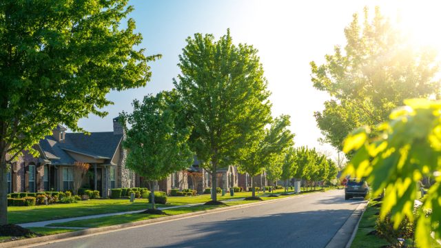 Neighbourhood of Houses filled with Trees