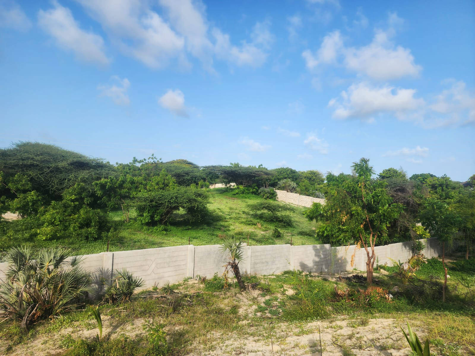 New Fenced Wall at Private Lot of Land for Sale – Shela, Lamu Island, Kenya