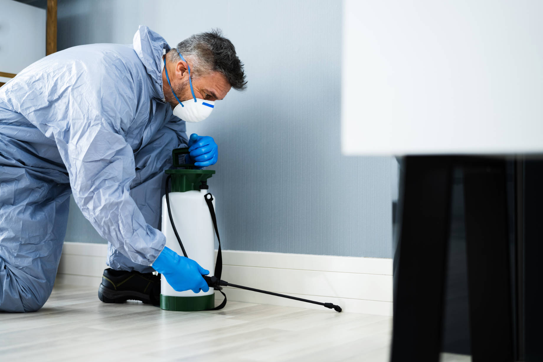 Pest Control Exterminator Man Spraying Baseboards in Home