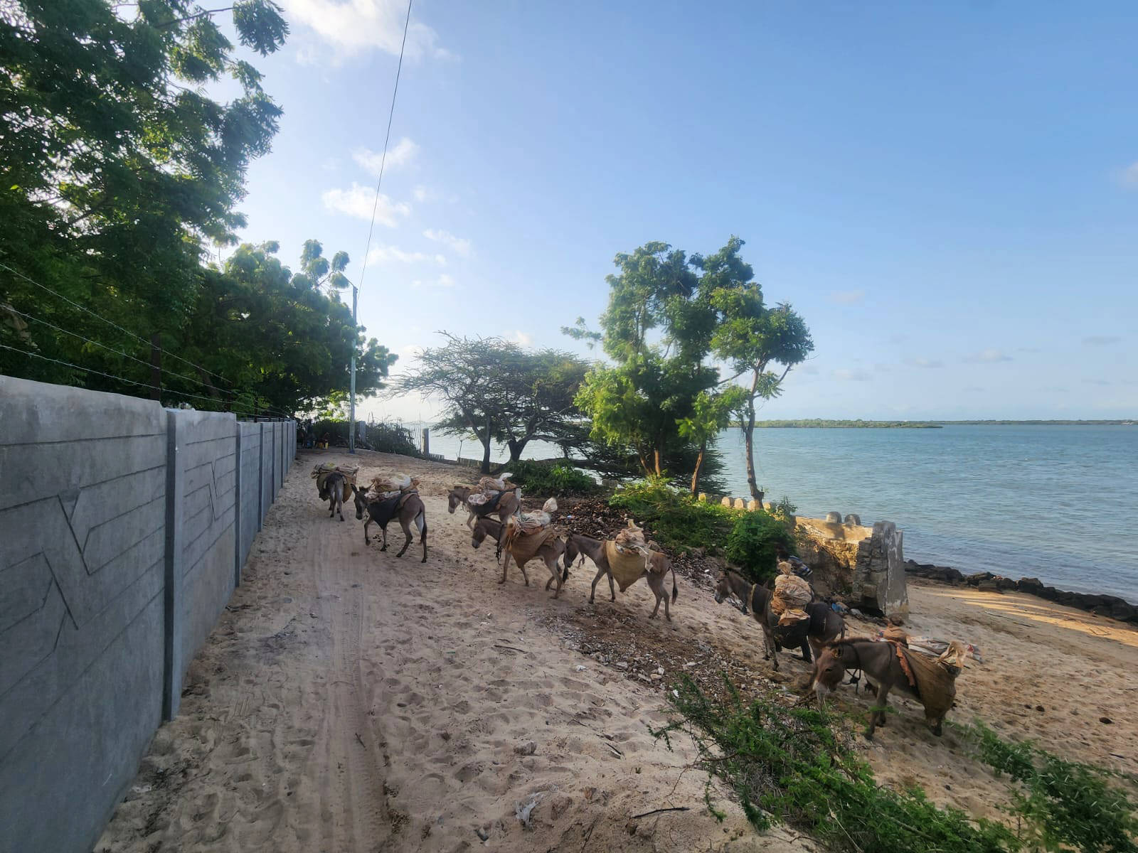 Pristine Beachfront Property For Sale – Shela, Lamu Island, Kenya