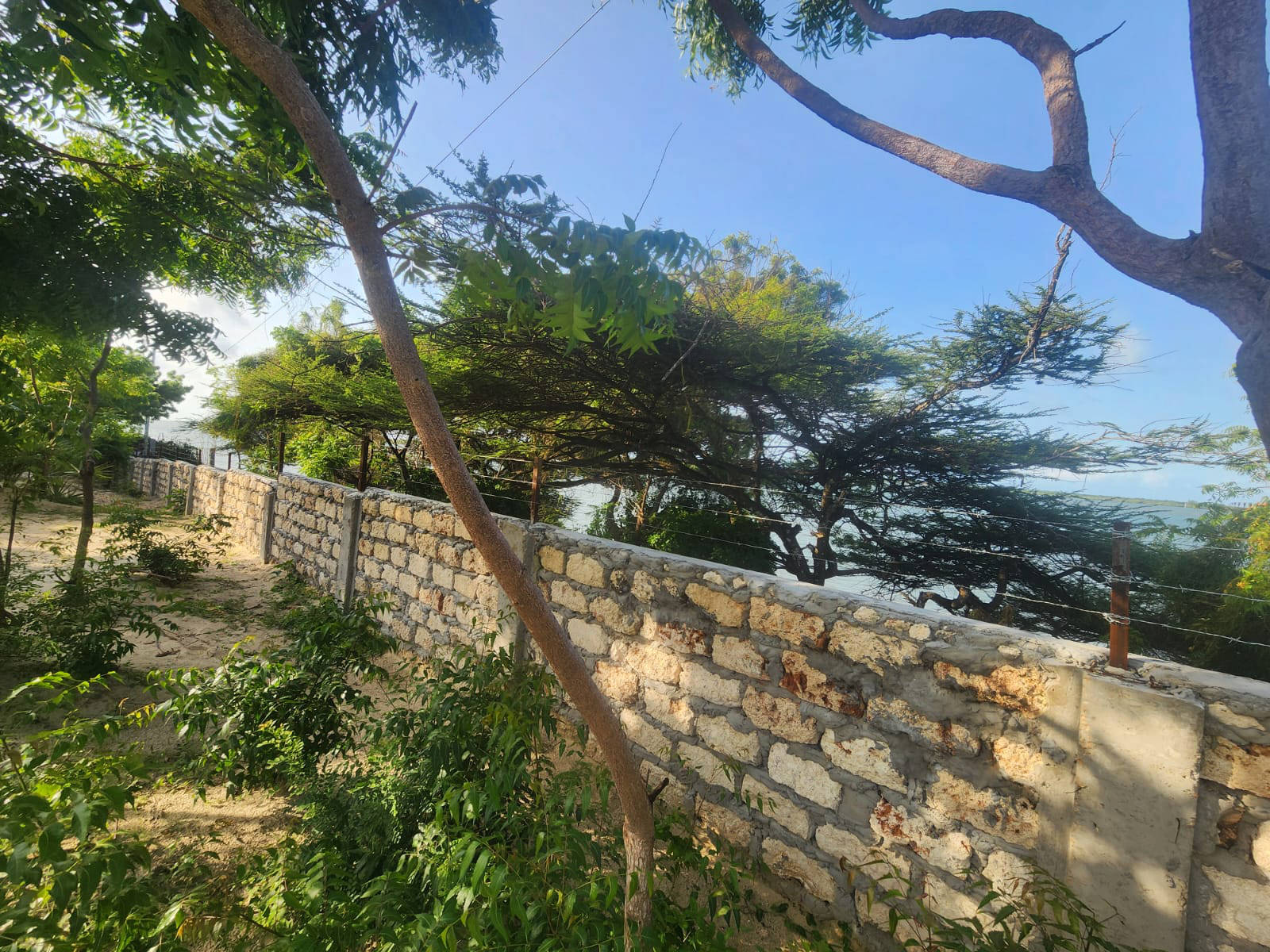 Wall Around Beachfront Estate Site – Shela, Lamu Island, Kenya