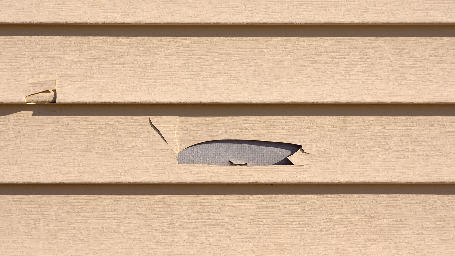 Damaged Vinyl Siding