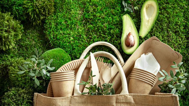 Environmentally Friendly, Disposable, Recyclable Tableware