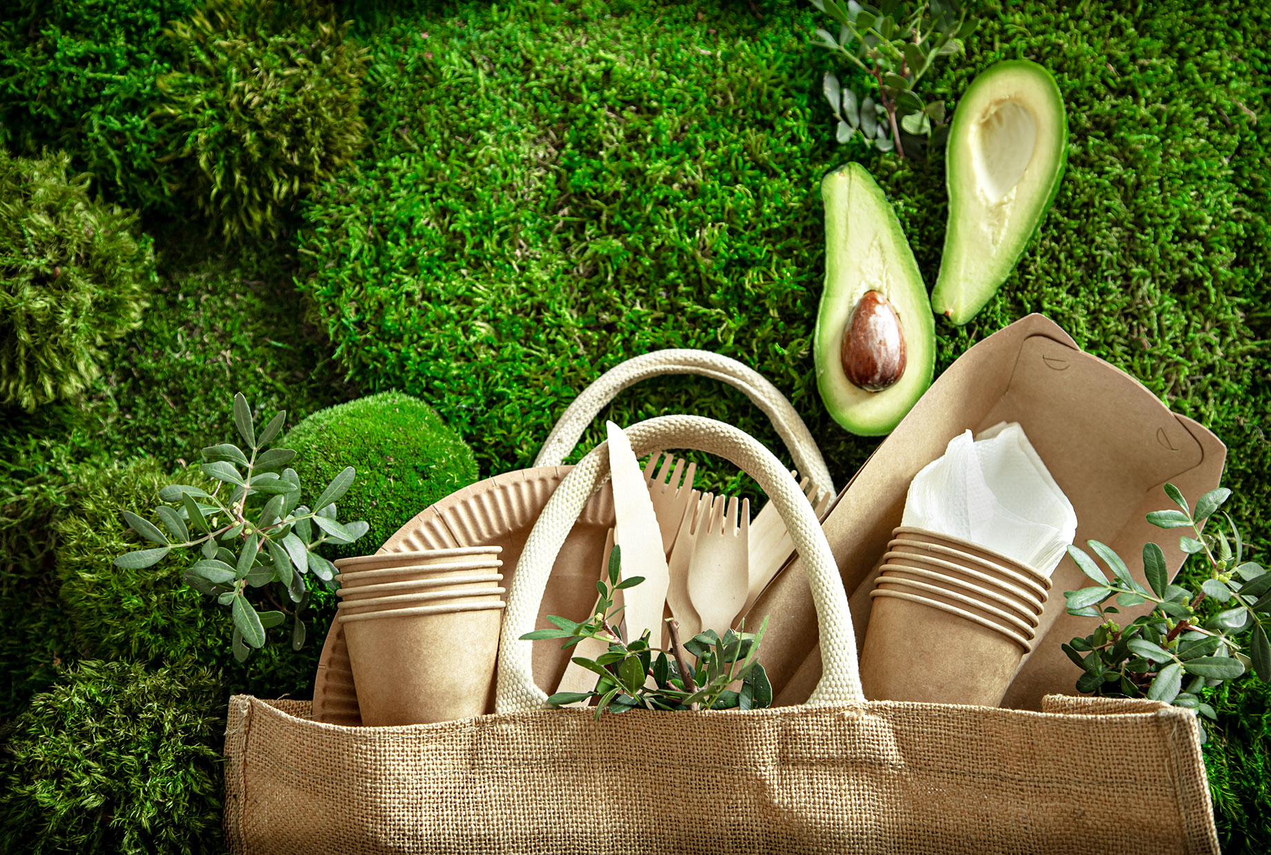Environmentally Friendly, Disposable, Recyclable Tableware