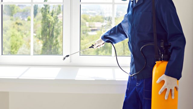 Exterminator Pest Control Service