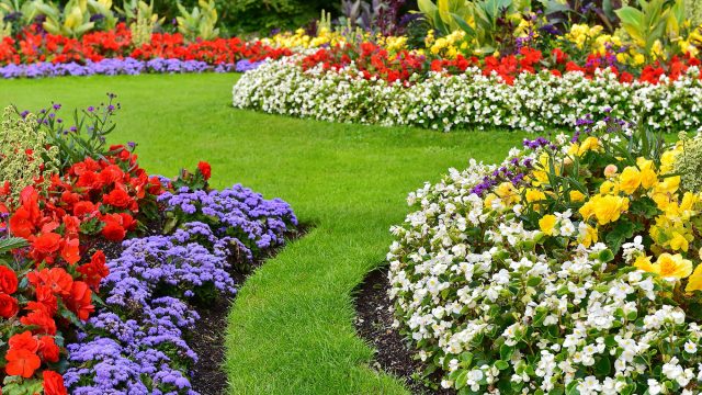 Landscaping with Colourful Flowers
