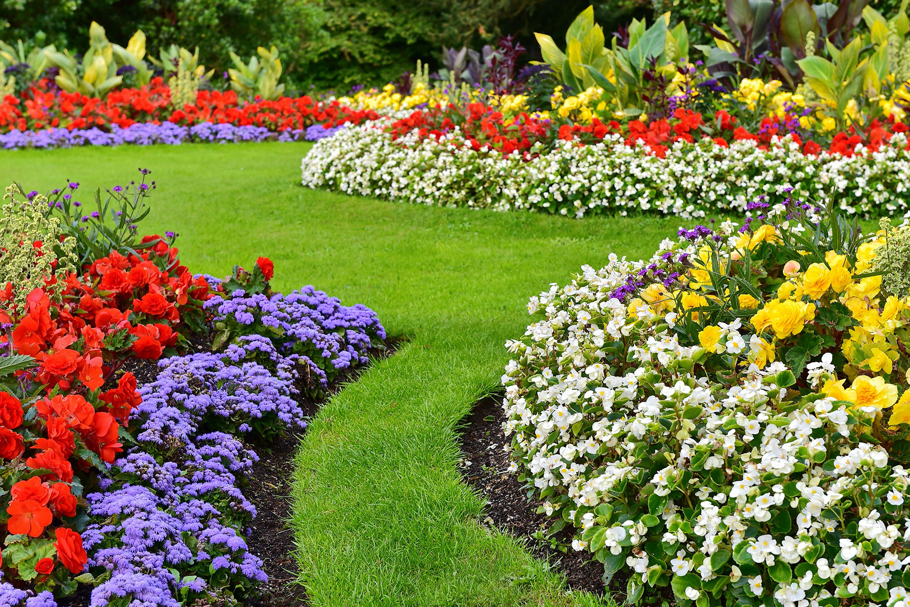 Landscaping with Colourful Flowers