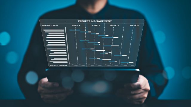 Project Management Software