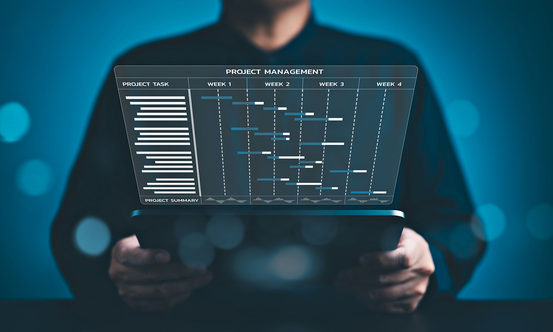 Project Management Software