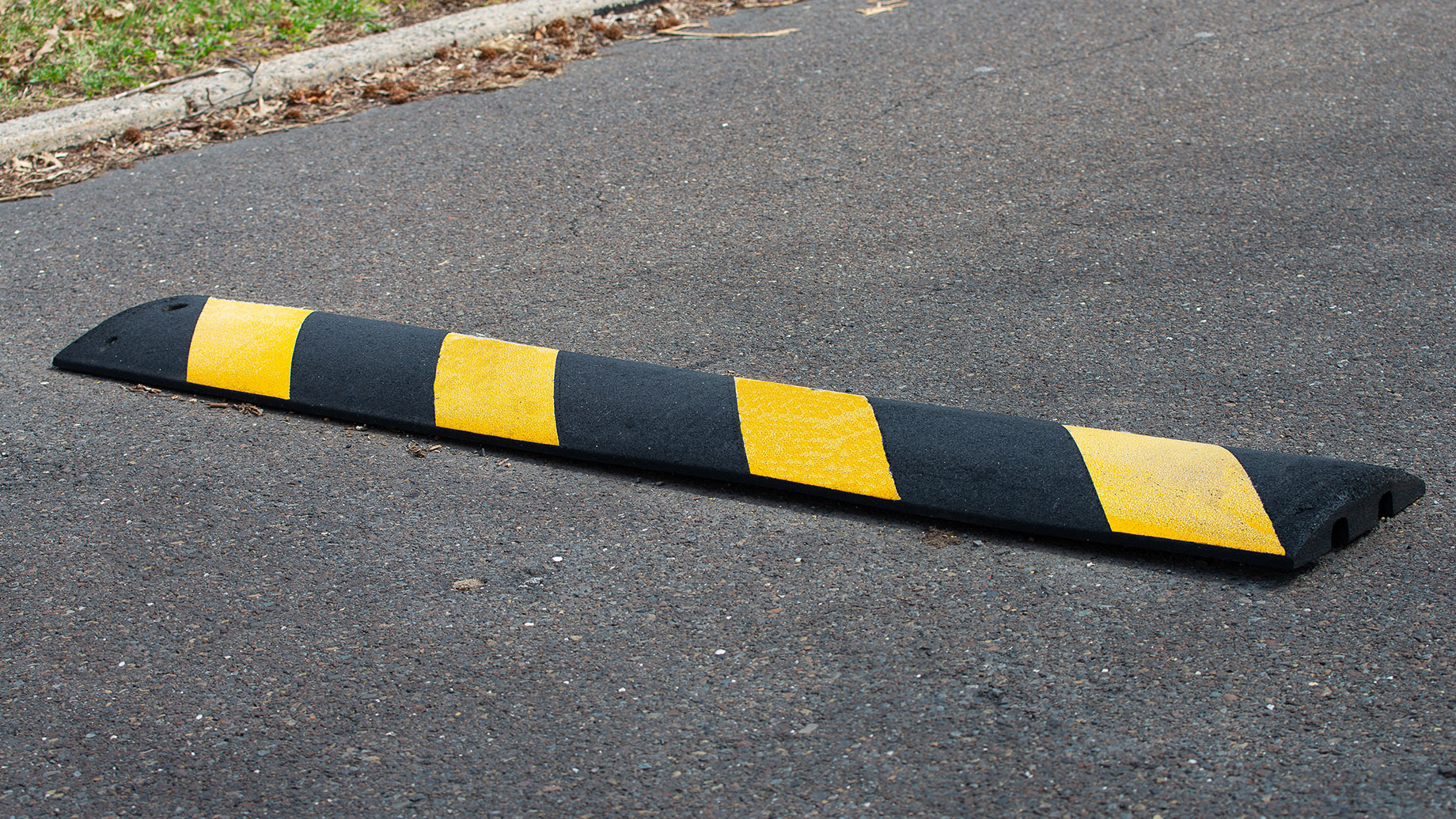 Rubber Speed Bump