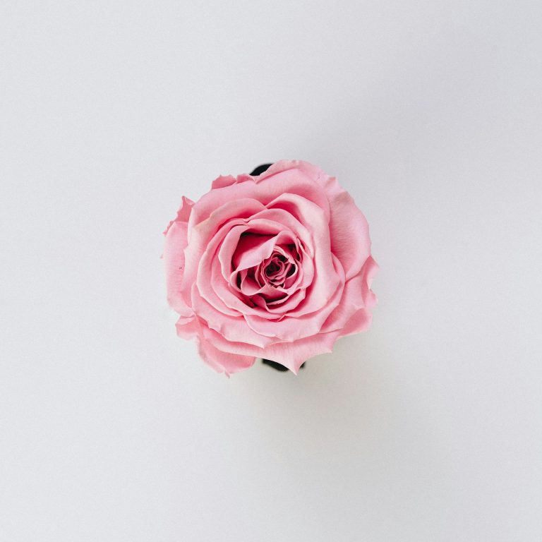 bence-balla-schottner-x68FaxTyx90-unsplash