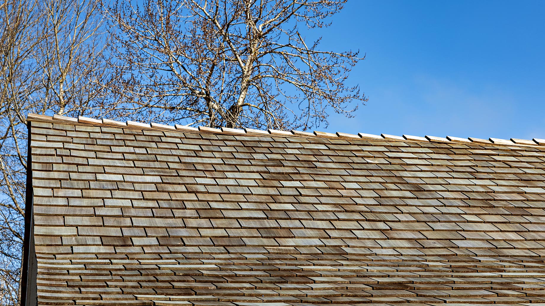 Cedar Shake House Roof