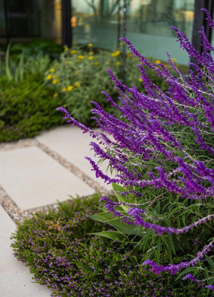 Eucalyptus Hill Residence - Lanai Rd, Santa Barbara, CA, USA - 22 Eucalyptus Hill Residence - Lanai Rd, Santa Barbara, CA, USA - 22