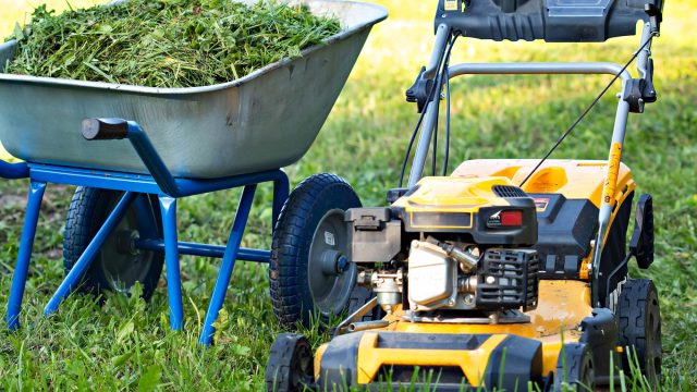 Lawn Mower and Wheelbarrow Full of Grass